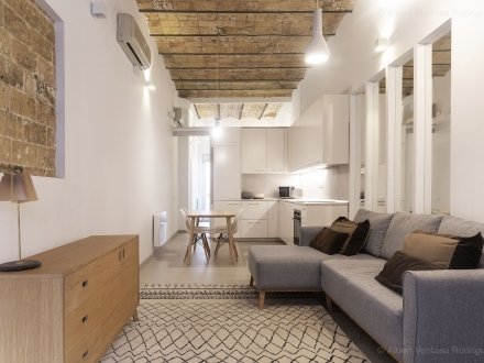 general desde puerta copia