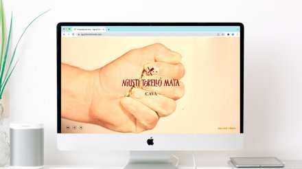 Home web Agusti Torello Mata