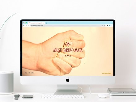 Home web Agusti Torello Mata