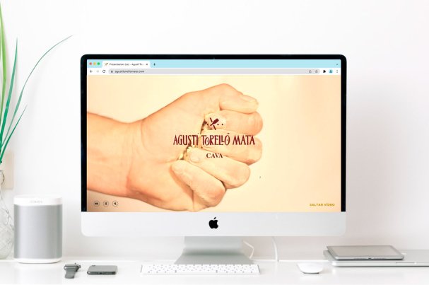 Home web Agusti Torello Mata