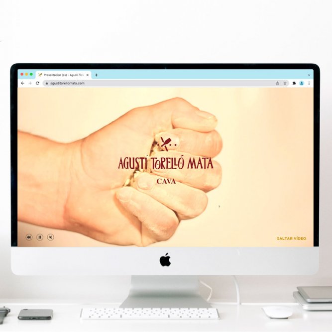 Home web Agusti Torello Mata